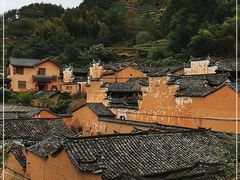 -杨家堂村