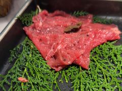 -芸山季·云南山珍菌火锅(南翔印象城MEGA店)