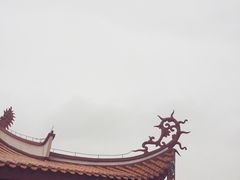 -金鸡山公园
