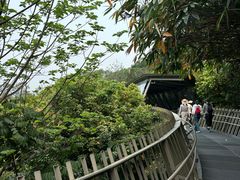 -福道