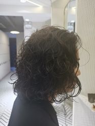 点击看大图 -PE SALON