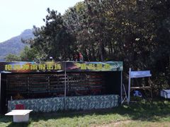 -沂蒙山旅游区云蒙景区(蒙山国家森林公园)