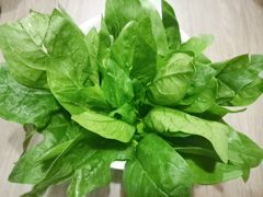 -老鼎旺安格斯牛肉火锅(衡艺广场店)
