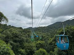 -野象谷景区