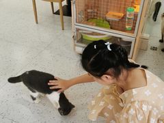 -喵园·猫主题咖啡厅·撸猫·猫咖(国贸店)