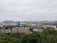 -福道