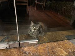 -浙江西子宾馆·瑶园咖啡厅