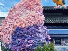 -茅山东方盐湖城景区