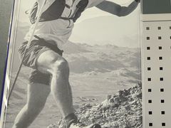 -迪卡侬(西华店)