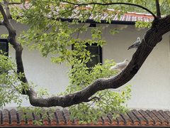 -上海宋庆龄故居纪念馆