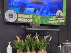 -眉州东坡(团结湖店)