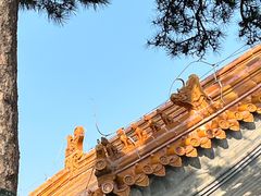 -妙峰山风景名胜区