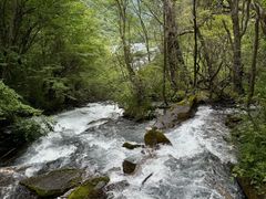 -叠溪松坪沟景区