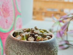 -十一咖啡(青年大街工厂店)