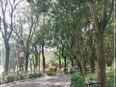 -东莞植物园