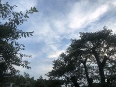 -老幺泉水鸡