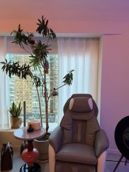 -海菲秀·飞顿牛奶光·LDM官方授权中心美轮美浣瓷感美肌