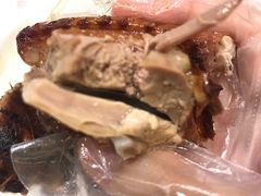 乳鸽-有心德(隆生店)