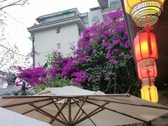 -院8里·少城记忆老川菜(宽窄巷子店)