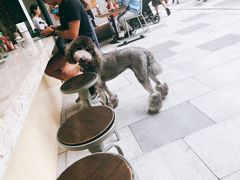 -RAC BAR(安福路店)