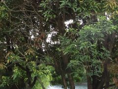 -时光花园(白鹭洲店)