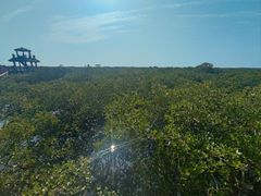 -北海金海湾红树林生态旅游区