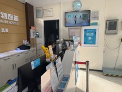 -美联众合动物医院·24h京西诊疗中心
