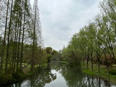 -昆山城市生态森林公园