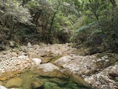 -祁门牯牛降观音堂风景区