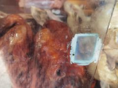 -巴子烤鸭