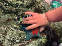 -沈阳海洋探索中心