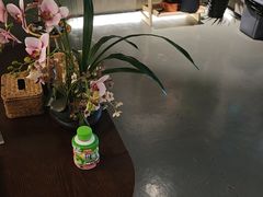 -施奈儿.洗头頭療.按摩SPA.采耳(上梅林店)