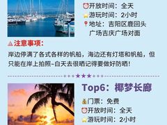 -亚龙湾热带天堂森林公园