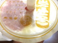 多肉西瓜-舍予茶(桂林路店)