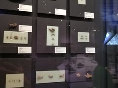 -北京周口店北京人遗址博物馆