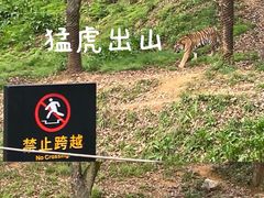 -杭州野生动物世界