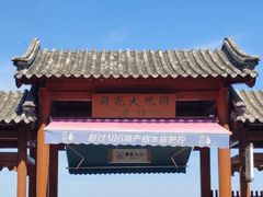 -白洋淀景区