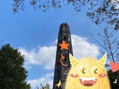 -上海佘山国家森林公园天马山园