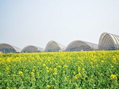 -中国天府农业博览园