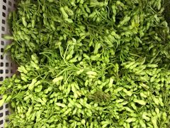 夜来香-沙田台山海鲜·酣客酒窖