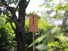 -天龙寺