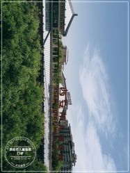 -西安市儿童医院门诊