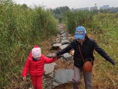 -大兴滨河森林公园