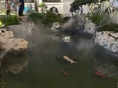 -麒麟小院·老九江菜(安平路店)