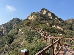 -大岭沟猕猴桃谷风景区