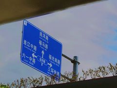 -光明港公园