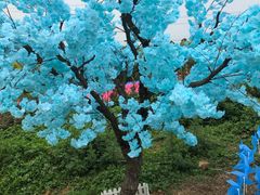 -紫颐香薰山谷景区