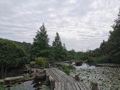 -铁山坪森林公园