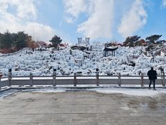 -威海华夏城景区