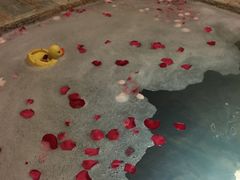 -北京美神宫艺术主题温泉酒店